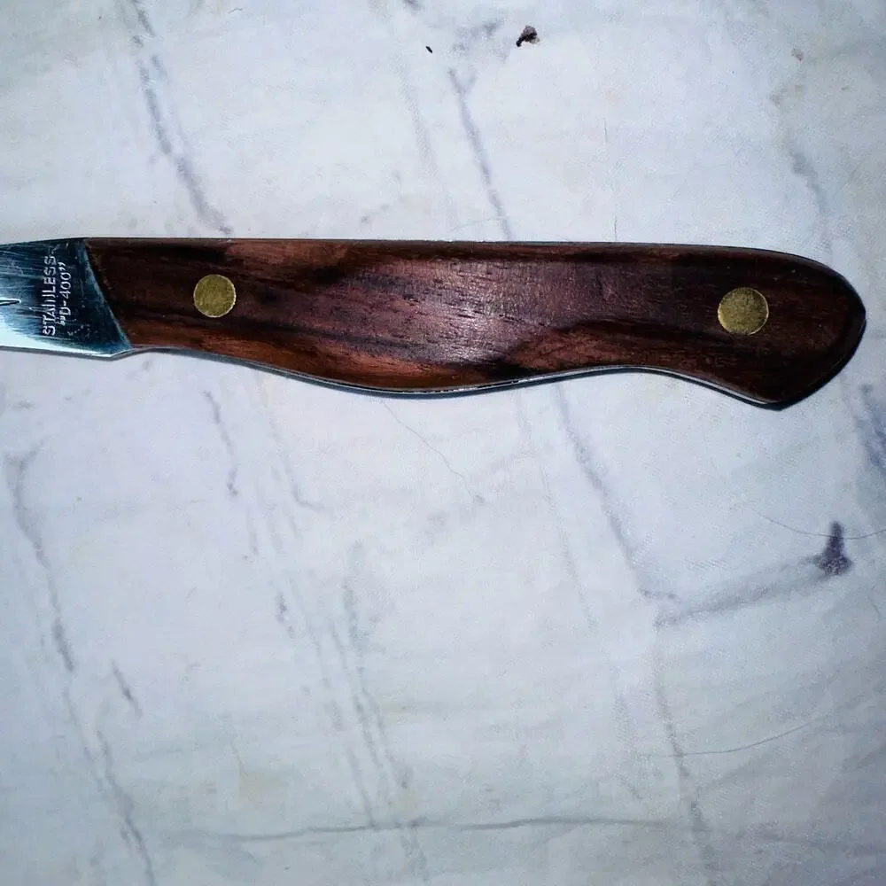 Vintage Jet-Cut Lifetime Cutlery D-400 2 Pronged Stainless Carving Serving Fork
